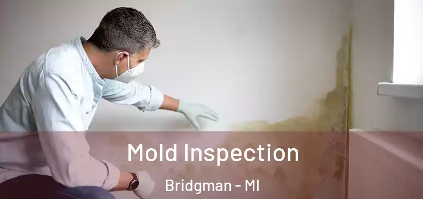  Mold Inspection Bridgman - MI