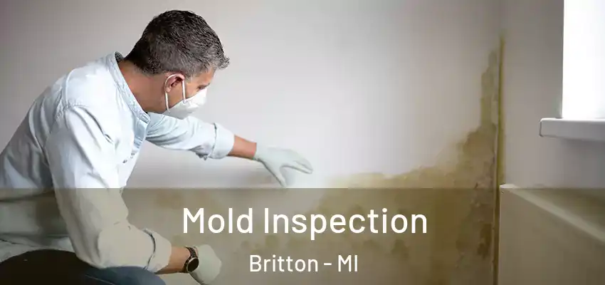  Mold Inspection Britton - MI