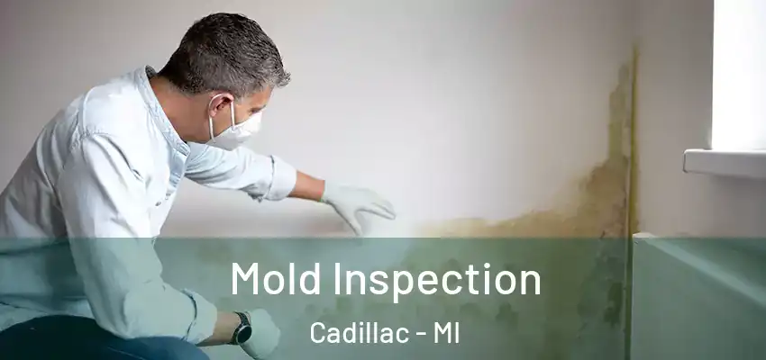  Mold Inspection Cadillac - MI