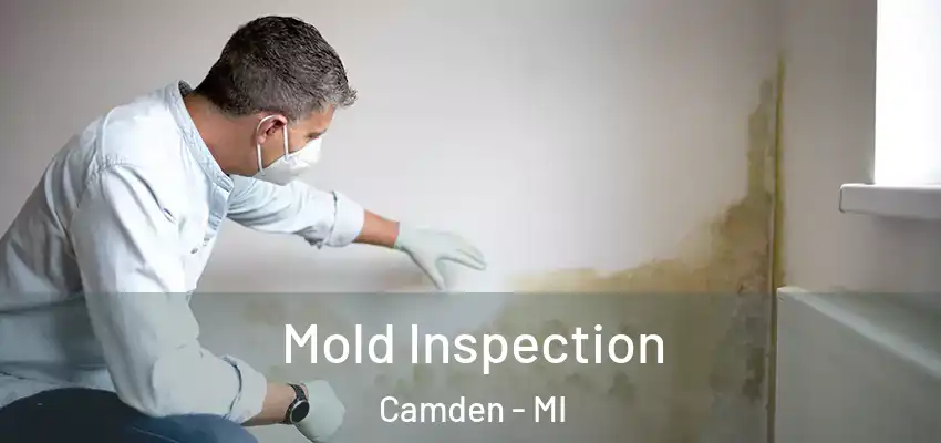  Mold Inspection Camden - MI