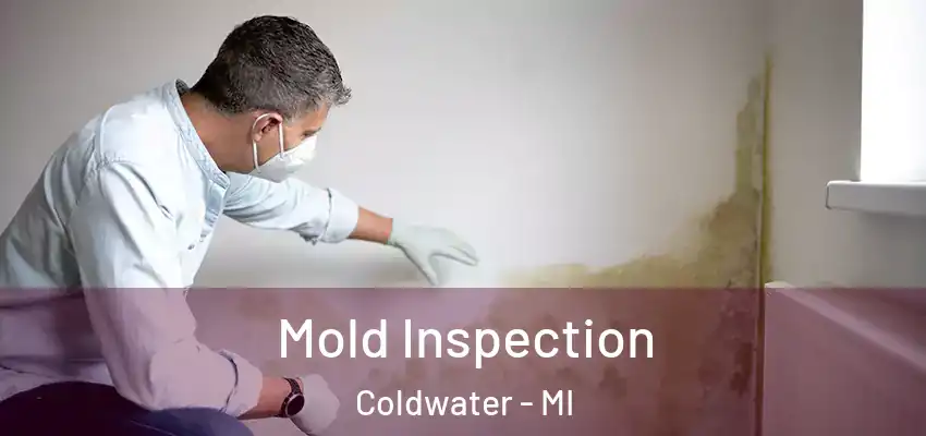  Mold Inspection Coldwater - MI