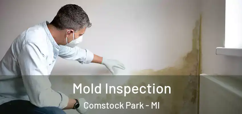  Mold Inspection Comstock Park - MI