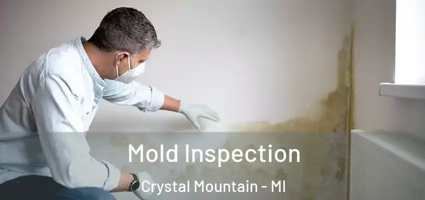  Mold Inspection Crystal Mountain - MI