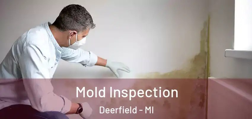  Mold Inspection Deerfield - MI