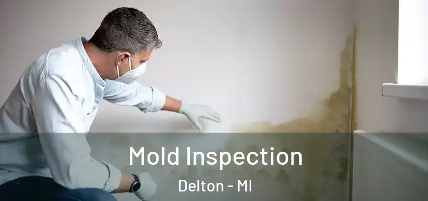  Mold Inspection Delton - MI