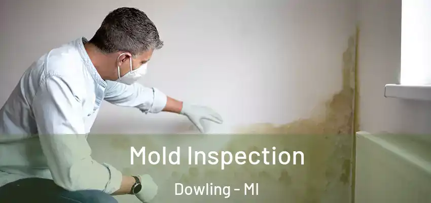 Mold Inspection Dowling - MI
