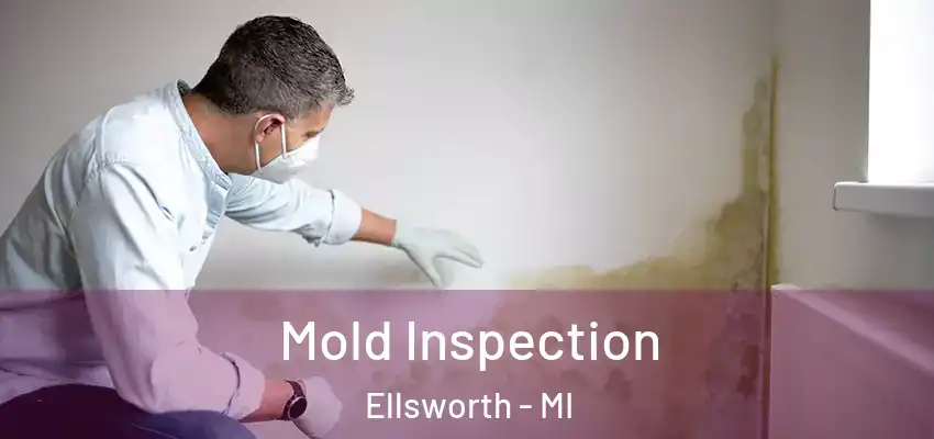 Mold Inspection Ellsworth - MI