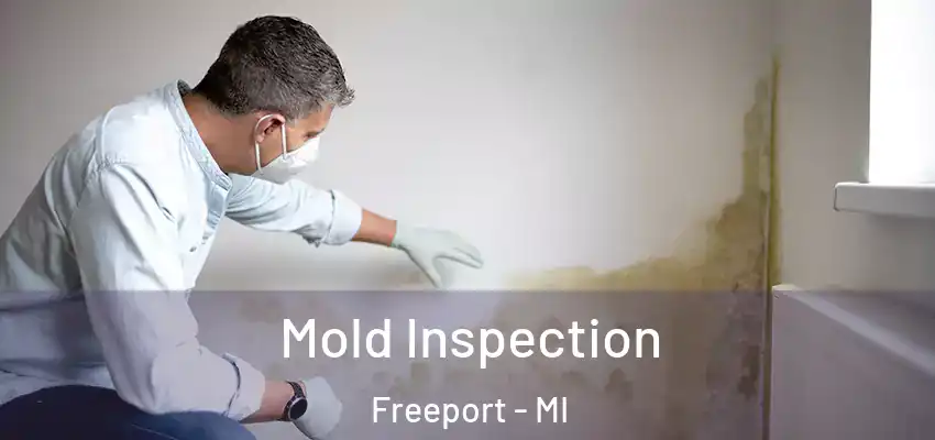 Mold Inspection Freeport - MI