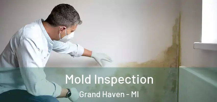  Mold Inspection Grand Haven - MI