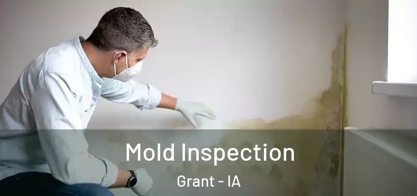  Mold Inspection Grant - IA
