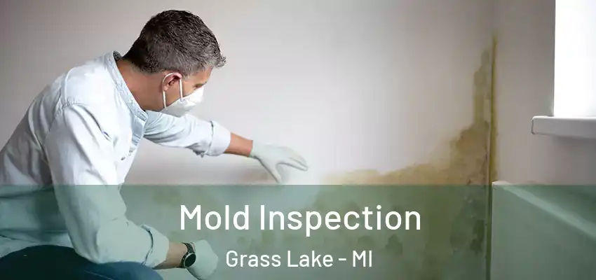  Mold Inspection Grass Lake - MI