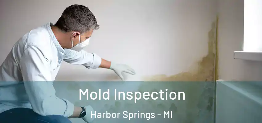  Mold Inspection Harbor Springs - MI