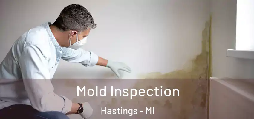  Mold Inspection Hastings - MI