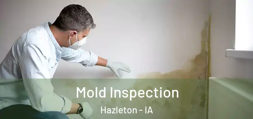  Mold Inspection Hazleton - IA
