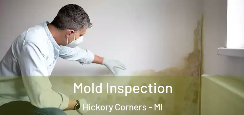  Mold Inspection Hickory Corners - MI