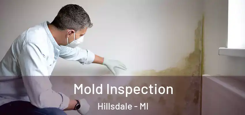  Mold Inspection Hillsdale - MI