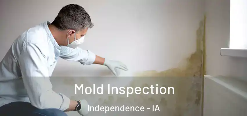  Mold Inspection Independence - IA