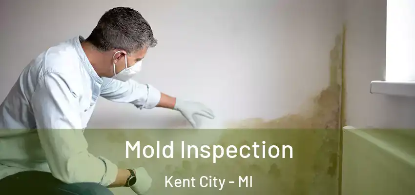  Mold Inspection Kent City - MI