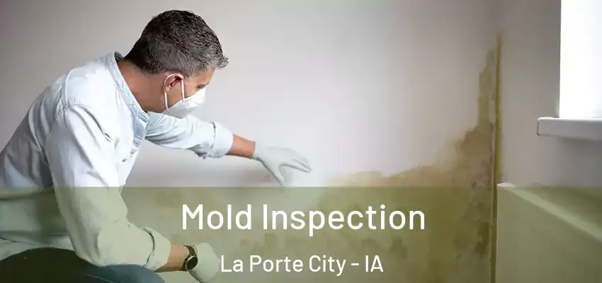  Mold Inspection La Porte City - IA