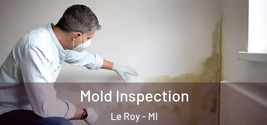 Mold Inspection Le Roy - MI