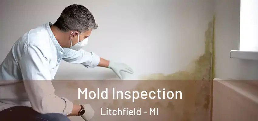 Mold Inspection Litchfield - MI