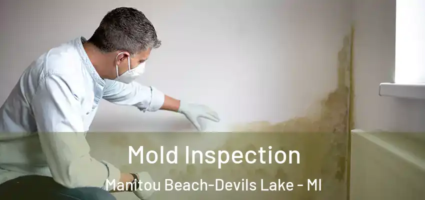 Mold Inspection Manitou Beach-Devils Lake - MI