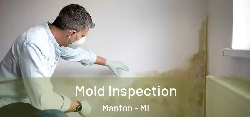 Mold Inspection Manton - MI