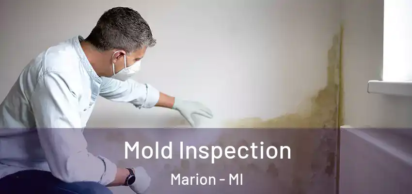 Mold Inspection Marion - MI