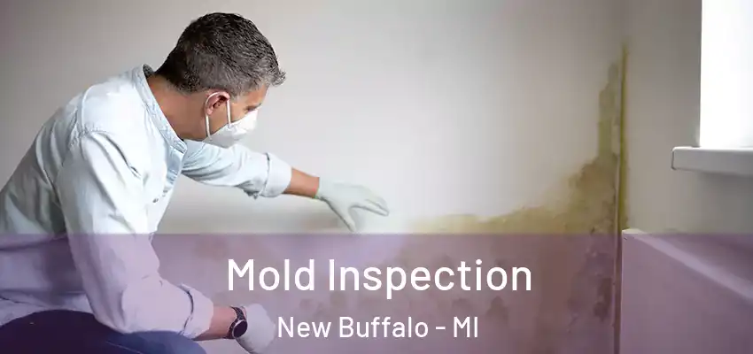 Mold Inspection New Buffalo - MI