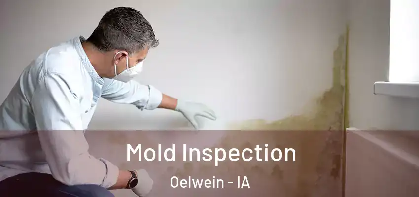  Mold Inspection Oelwein - IA