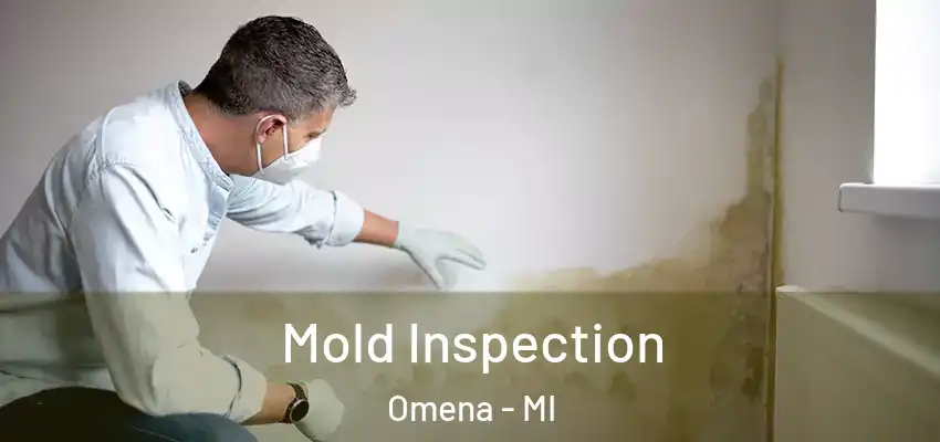  Mold Inspection Omena - MI