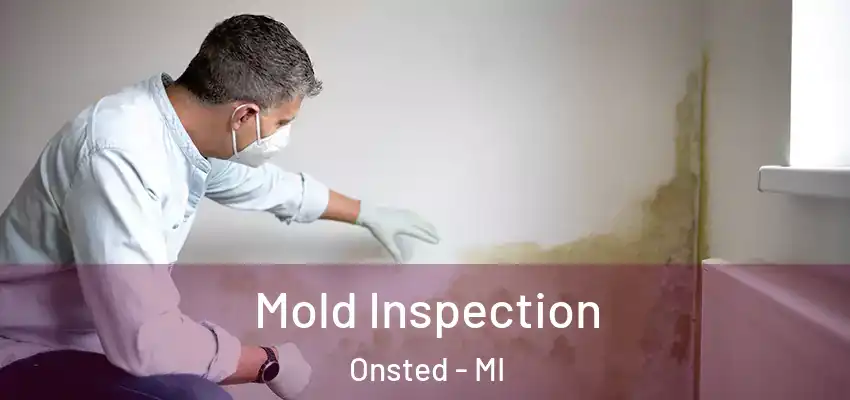  Mold Inspection Onsted - MI