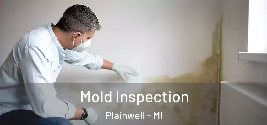 Mold Inspection Plainwell - MI