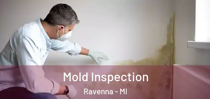  Mold Inspection Ravenna - MI