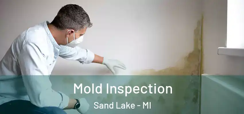  Mold Inspection Sand Lake - MI