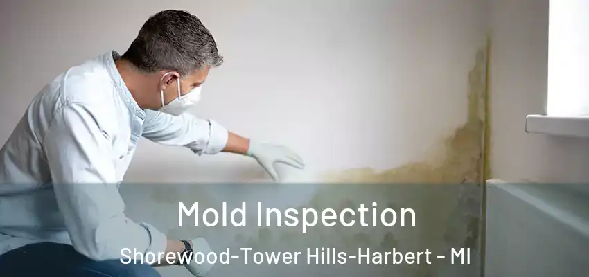  Mold Inspection Shorewood-Tower Hills-Harbert - MI