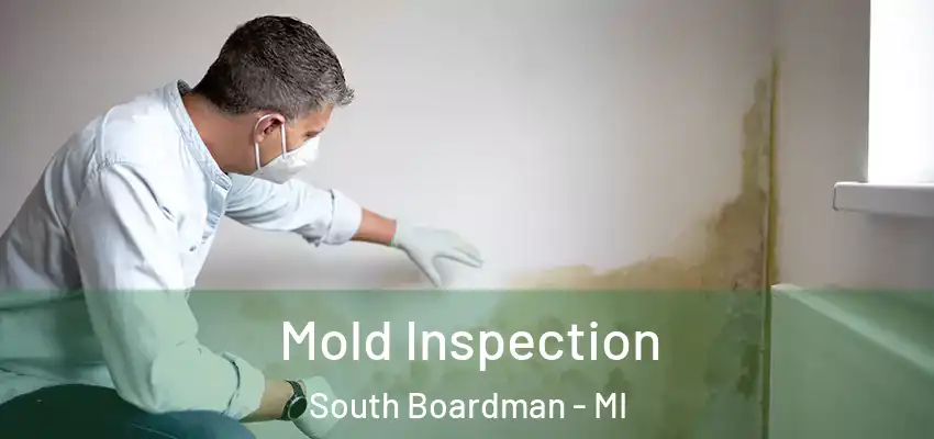  Mold Inspection South Boardman - MI