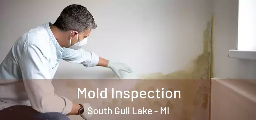  Mold Inspection South Gull Lake - MI