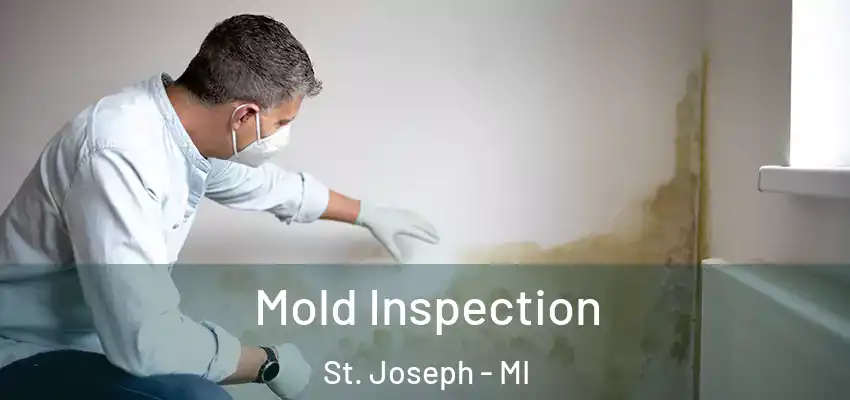  Mold Inspection St. Joseph - MI