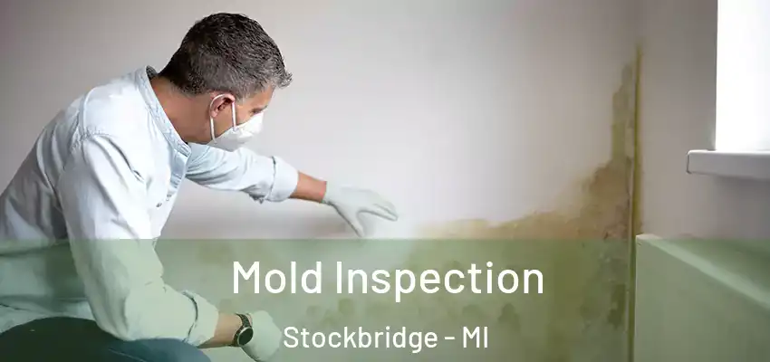 Mold Inspection Stockbridge - MI