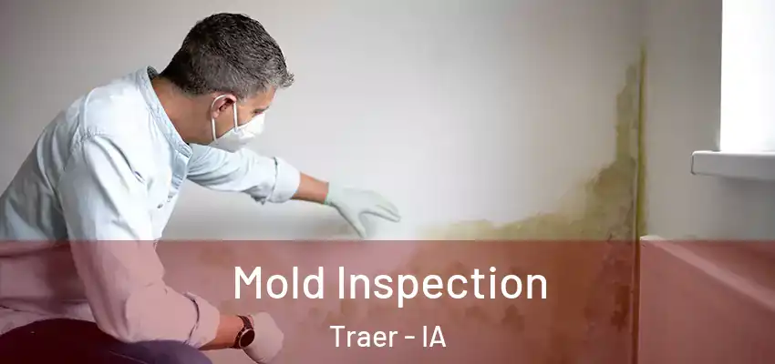  Mold Inspection Traer - IA