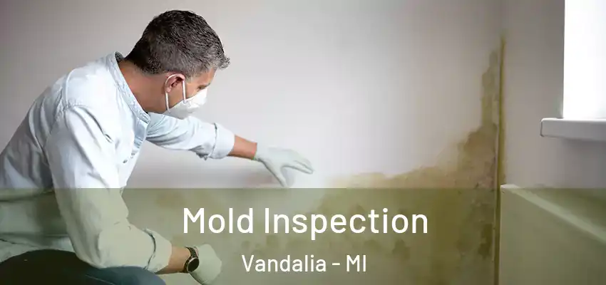  Mold Inspection Vandalia - MI