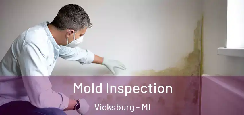 Mold Inspection Vicksburg - MI
