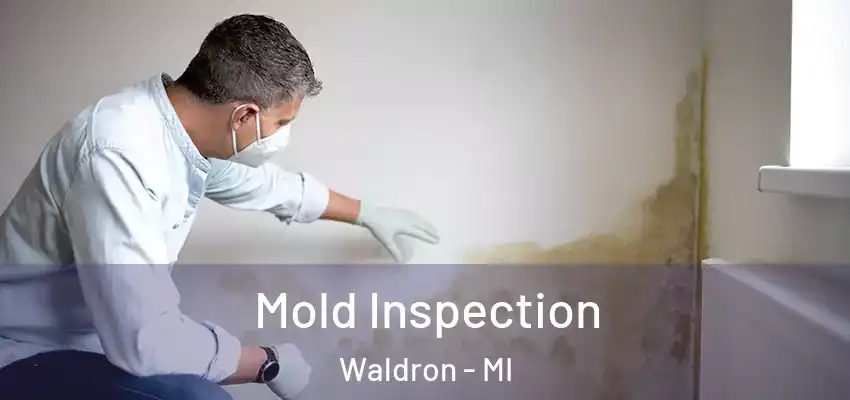 Mold Inspection Waldron - MI