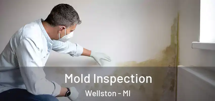  Mold Inspection Wellston - MI