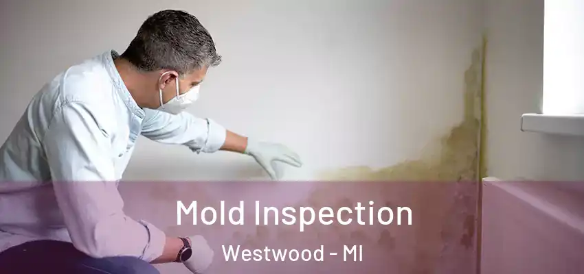  Mold Inspection Westwood - MI