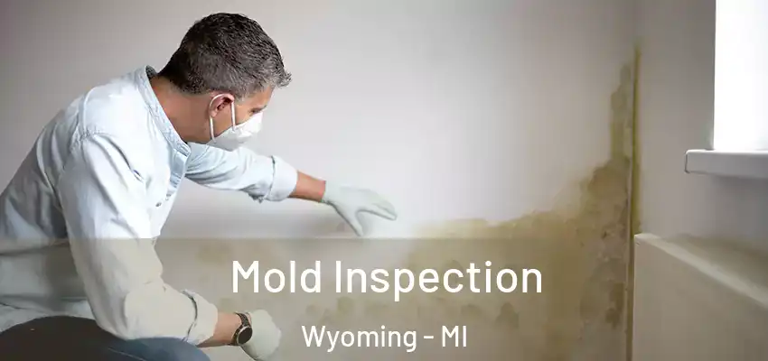  Mold Inspection Wyoming - MI