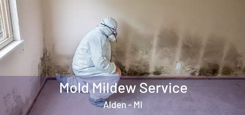  Mold Mildew Service Alden - MI