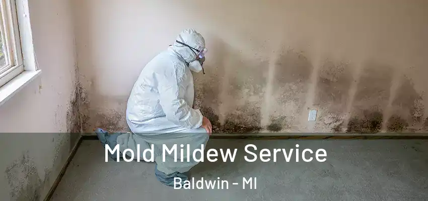  Mold Mildew Service Baldwin - MI