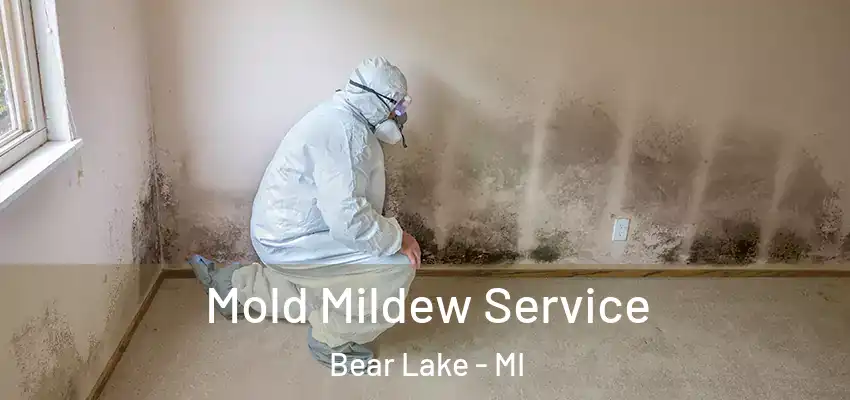  Mold Mildew Service Bear Lake - MI
